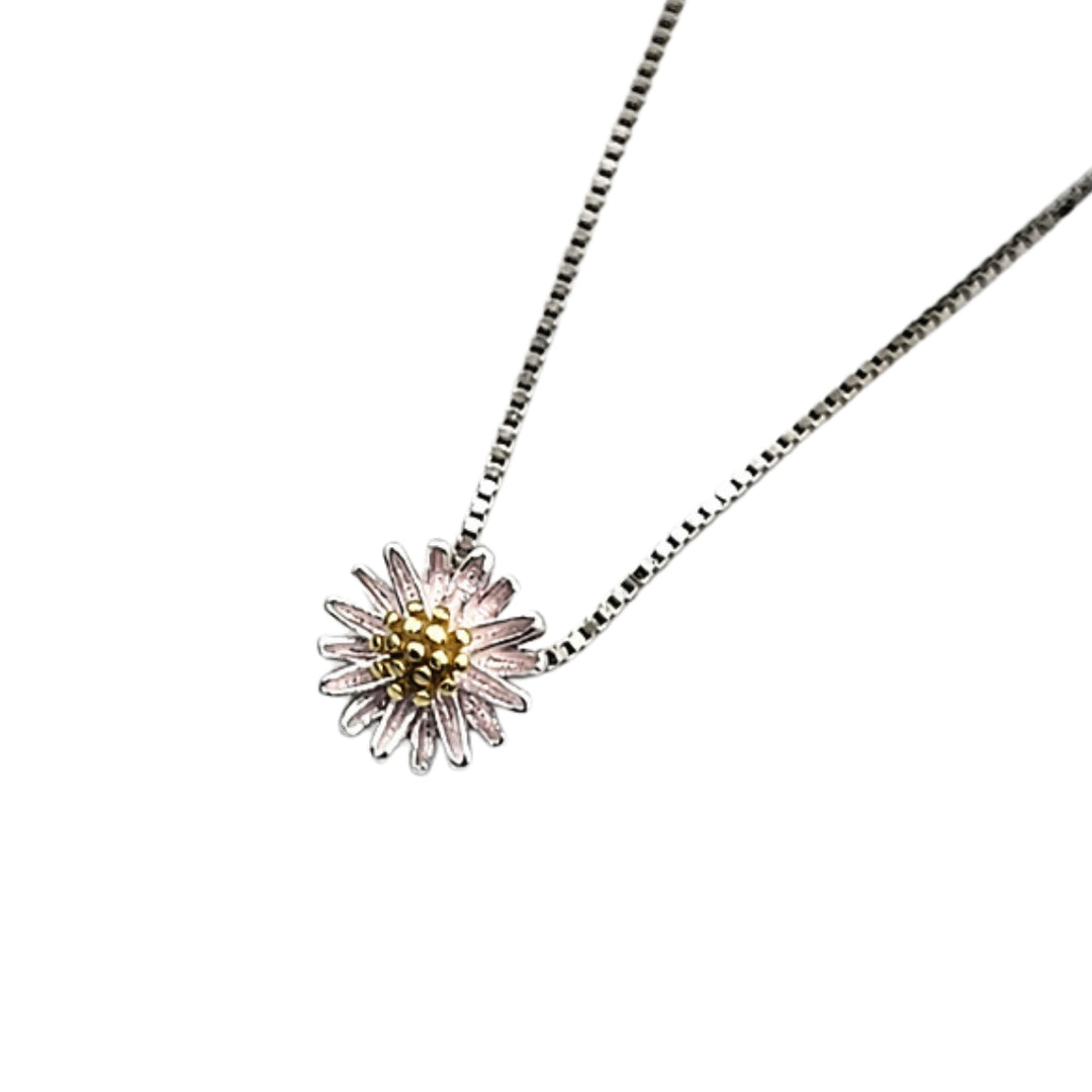 Päivänkakkara Hopeakaulakoru